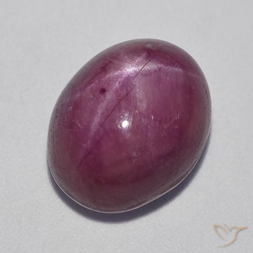 11.42ct طبيعي أرجوانى داكن-متوسط ياقوت نجمة, بيضوي, غير شفاف