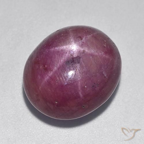 12.08ct طبيعي أرجوانى داكن-متوسط ياقوت نجمة, بيضوي, غير شفاف
