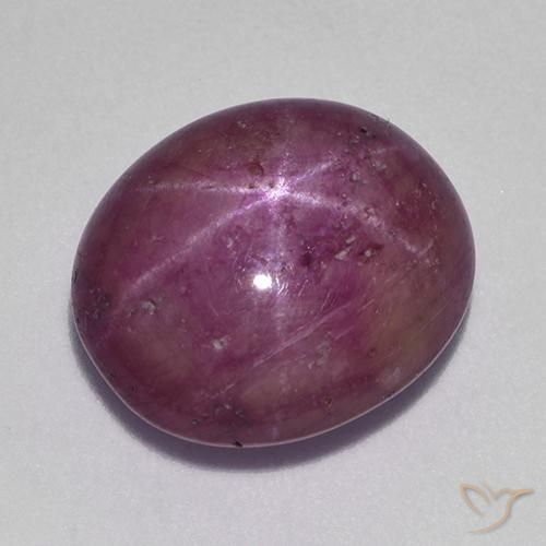 10.38ct طبيعي ماجنتى رمادى ياقوت نجمة, بيضوي, غير شفاف