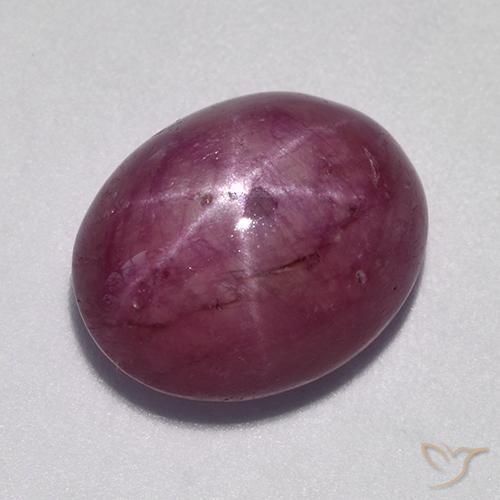 10.57ct طبيعي أرجوانى داكن-متوسط ياقوت نجمة, بيضوي, غير شفاف