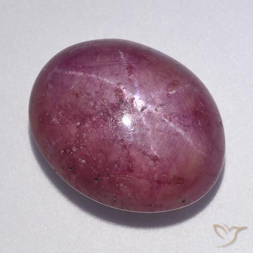 12.56ct طبيعي أرجوانى داكن-متوسط ياقوت نجمة, بيضوي, غير شفاف