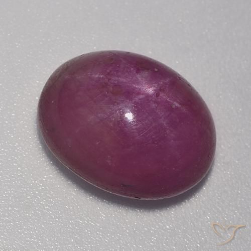 8.86ct طبيعي أرجوانى داكن-متوسط ياقوت نجمة, بيضوي, غير شفاف