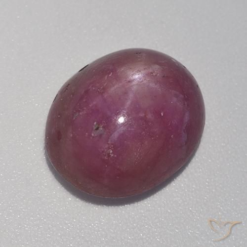 8.41ct طبيعي أرجوانى داكن-متوسط ياقوت نجمة, بيضوي, غير شفاف