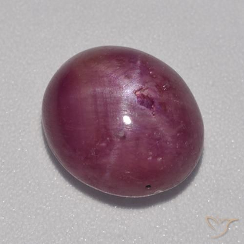 5.68ct طبيعي أرجواني محمر ياقوت نجمة, بيضوي, غير شفاف