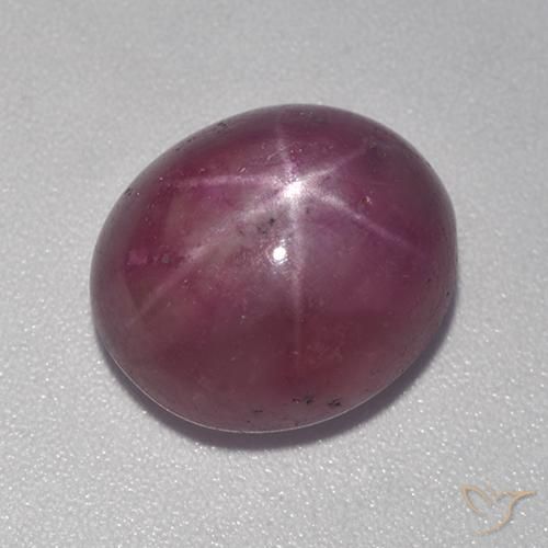 11.15ct طبيعي أرجوانى برقوقى ياقوت نجمة, بيضوي, غير شفاف