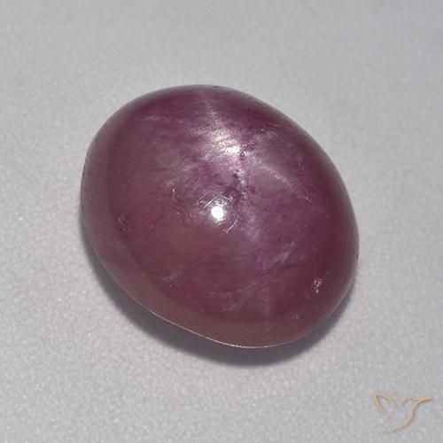 6.32ct طبيعي أرجوانى برقوقى ياقوت نجمة, بيضوي, غير شفاف