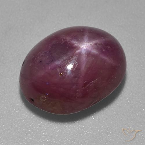 7.59ct طبيعي أرجوانى داكن-متوسط ياقوت نجمة, بيضوي, غير شفاف