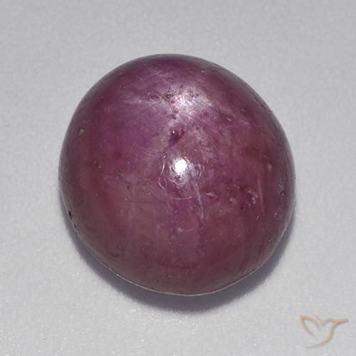 9.28ct طبيعي أرجواني محمر ياقوت نجمة, بيضوي, غير شفاف
