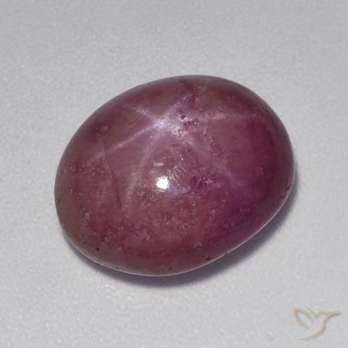 8.90ct طبيعي أرجوانى داكن-متوسط ياقوت نجمة, بيضوي, غير شفاف