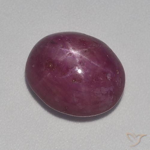 7.78ct طبيعي أرجواني محمر ياقوت نجمة, بيضوي, غير شفاف