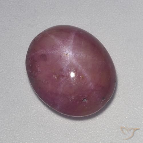7.28ct طبيعي أرجواني محمر ياقوت نجمة, بيضوي, غير شفاف