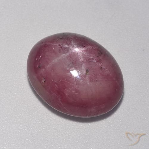 7.78ct طبيعي أرجوانى برقوقى ياقوت نجمة, بيضوي, غير شفاف