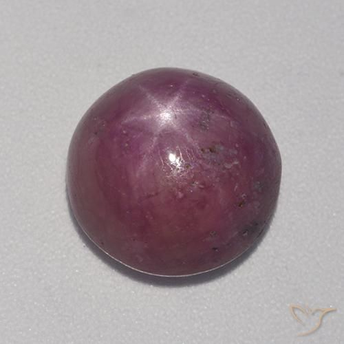 6.44ct طبيعي أرجوانى داكن-متوسط ياقوت نجمة, دائري, غير شفاف