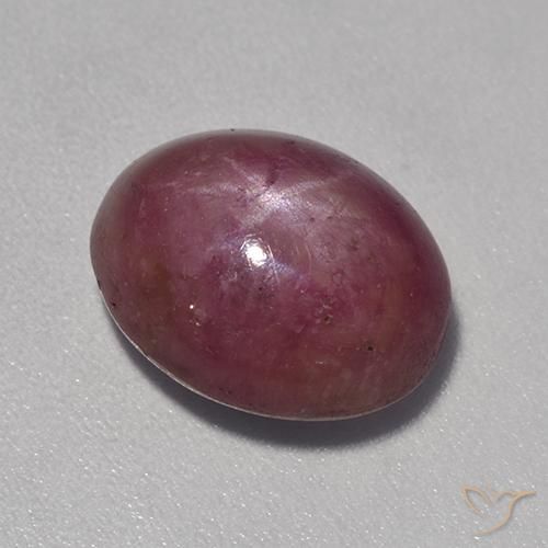 8.17ct طبيعي أرجوانى برقوقى ياقوت نجمة, بيضوي, غير شفاف