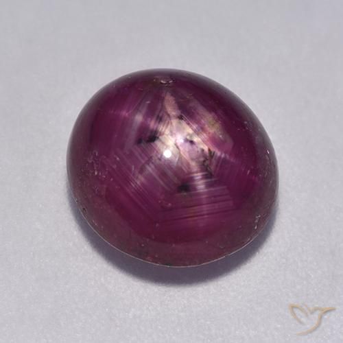 5.43ct طبيعي أرجوانى داكن-متوسط ياقوت نجمة, بيضوي, نصف شفاف