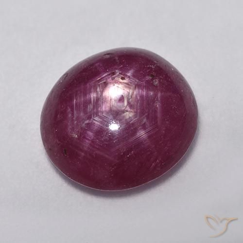 4.76ct طبيعي التوت عليق أحمر ياقوت نجمة, بيضوي, نصف شفاف