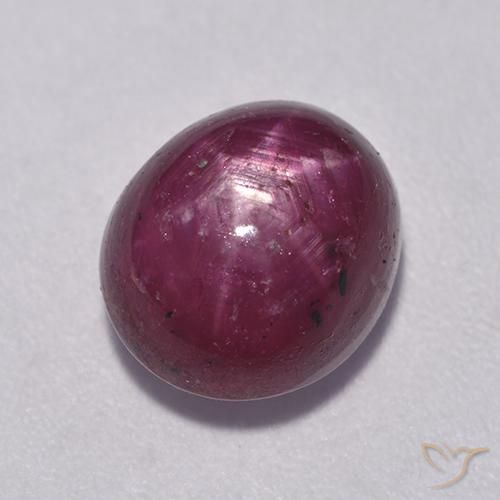 6.08ct طبيعي التوت عليق أحمر ياقوت نجمة, بيضوي, غير شفاف