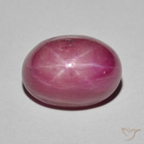 9.59ct طبيعي أحمر وردى ياقوت نجمة, بيضوي, غير شفاف