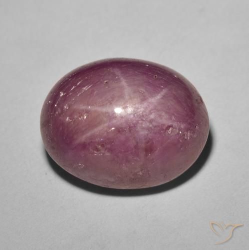 8.61ct طبيعي أرجواني محمر ياقوت نجمة, بيضوي, غير شفاف