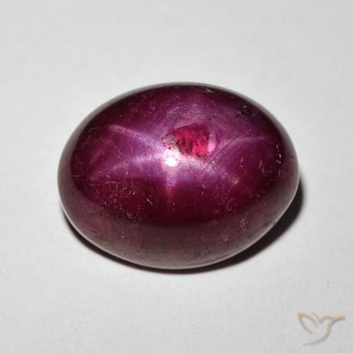 11.24ct طبيعي أحمر النبيذ ياقوت نجمة, بيضوي, غير شفاف