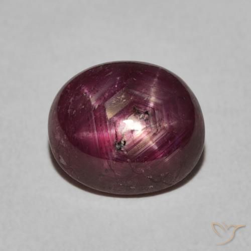 4.38ct طبيعي Medium Dark-Purple ياقوت نجمة, بيضوي, غير شفاف