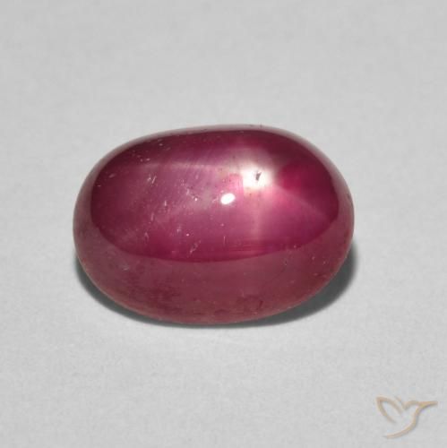 3.19ct طبيعي أحمر المربى ياقوت نجمة, بيضوي, غير شفاف