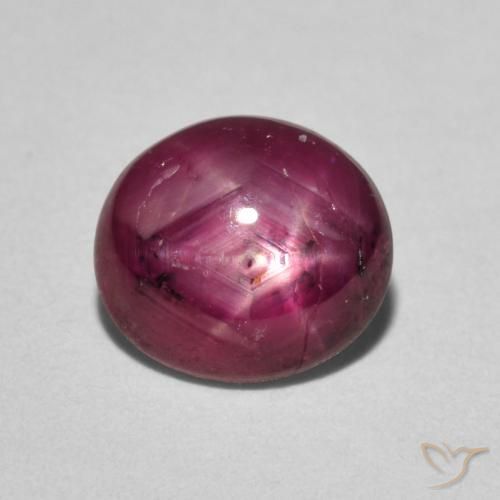 3.05ct طبيعي أحمر غامق ياقوت نجمة, بيضوي, غير شفاف
