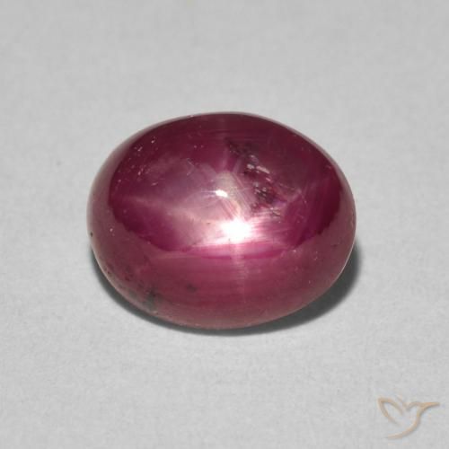 3.29ct طبيعي قرمزى غامق ياقوت نجمة, بيضوي, غير شفاف