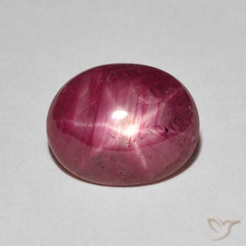 3.60ct طبيعي أحمر غامق ياقوت نجمة, بيضوي, غير شفاف