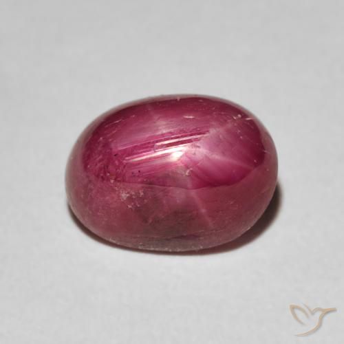 3.68ct طبيعي قرمزى غامق ياقوت نجمة, بيضوي, غير شفاف