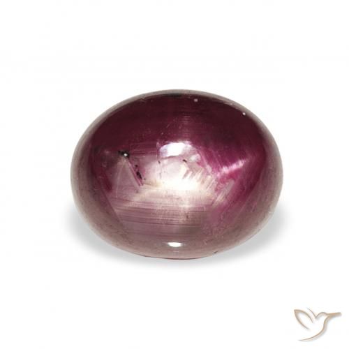 3.21ct طبيعي أرجوانى متوسط ياقوت نجمة, بيضوي, غير شفاف