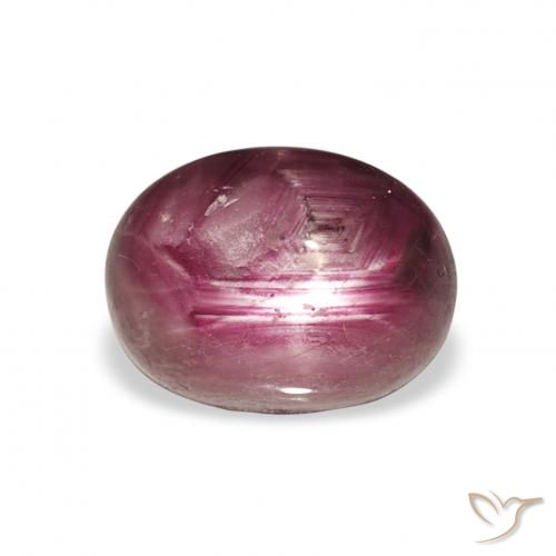 4.34ct طبيعي Medium Dark-Purple ياقوت نجمة, بيضوي, غير شفاف