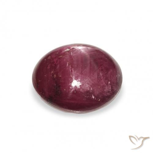 ياقوت نجمة Medium Dark-Purple طبيعي، دائري، 4.27 قيراط، غير شفاف