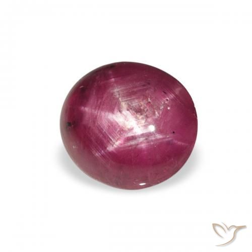 2.50ct طبيعي Medium Light-Purple ياقوت نجمة, بيضوي, غير شفاف