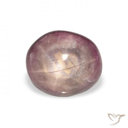 4.41ct طبيعي Medium Dark-Purple ياقوت نجمة, بيضوي, غير شفاف