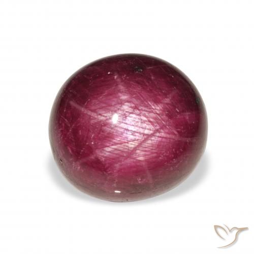 11.86ct طبيعي أرجوانى وردى ياقوت نجمة, بيضوي, غير شفاف