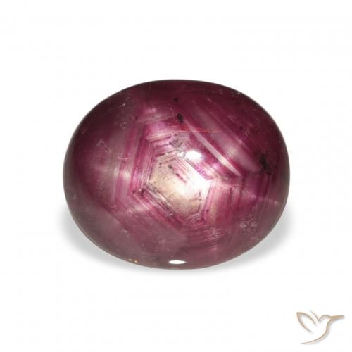 5.69ct طبيعي Medium Dark-Purple ياقوت نجمة, بيضوي, غير شفاف, Photo A