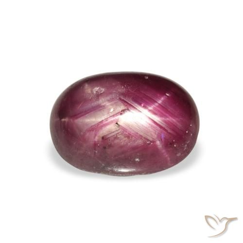4.27ct طبيعي Medium Dark Reddish-Purple ياقوت نجمة, بيضوي, غير شفاف