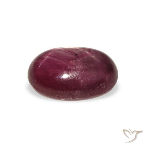 ياقوت نجمة Medium Dark Reddish-Purple طبيعي، بيضوي، 4.27 قيراط، غير شفاف