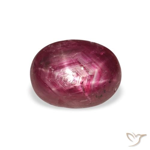 4.26ct طبيعي Medium Dark Reddish-Purple ياقوت نجمة, بيضوي, غير شفاف