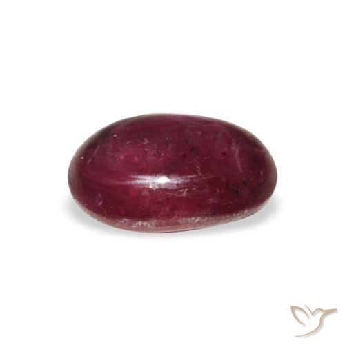 ياقوت نجمة Medium Dark Reddish-Purple طبيعي، بيضوي، 4.26 قيراط، غير شفاف