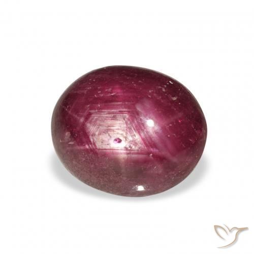 6.70ct طبيعي Medium Dark Reddish-Purple ياقوت نجمة, بيضوي, غير شفاف