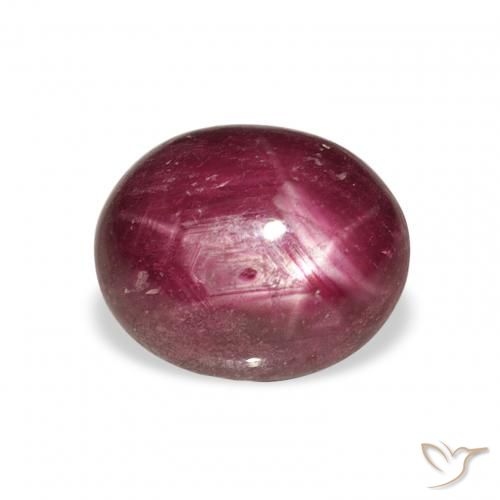 ياقوت نجمة Medium Dark Reddish-Purple طبيعي، بيضوي، 6.70 قيراط، غير شفاف