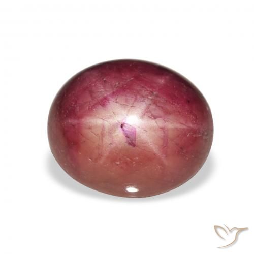8.14ct طبيعي Medium Light-Purple ياقوت نجمة, بيضوي, غير شفاف