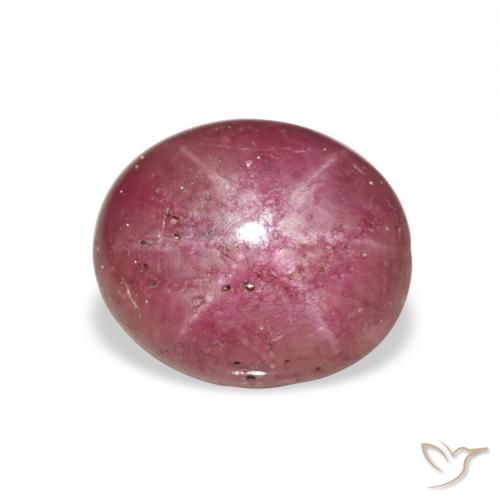 6.23ct طبيعي أرجواني ياقوت نجمة, بيضوي, غير شفاف