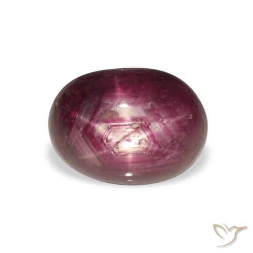 6.23ct طبيعي أرجوانى وردى ياقوت نجمة, بيضوي, غير شفاف