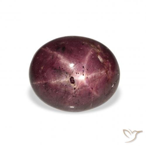 9.90ct طبيعي أرجواني محمر ياقوت نجمة, بيضوي, غير شفاف