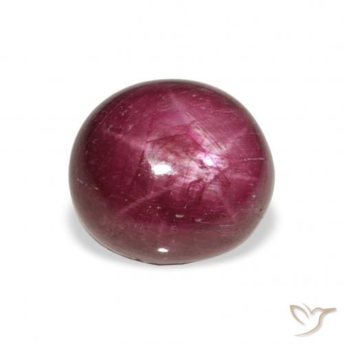9.87ct طبيعي Medium Dark-Purple ياقوت نجمة, بيضوي, غير شفاف