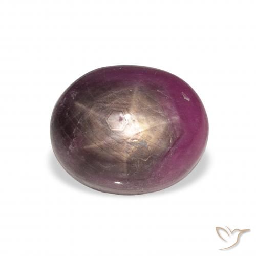 9.04ct طبيعي أرجواني محمر ياقوت نجمة, بيضوي, غير شفاف