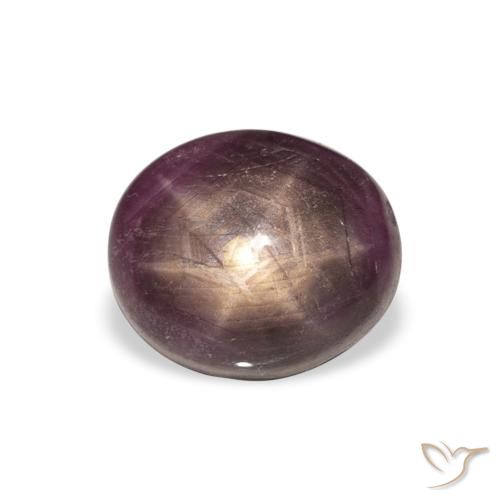 6.28ct طبيعي Medium Dark-Purple ياقوت نجمة, بيضوي, غير شفاف